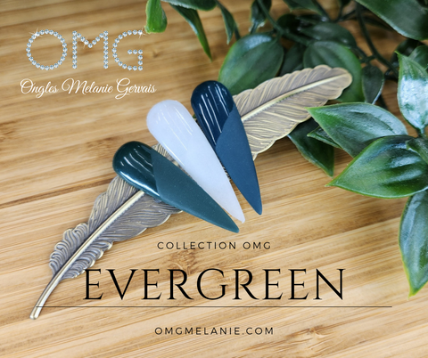 Collection Evergreen
